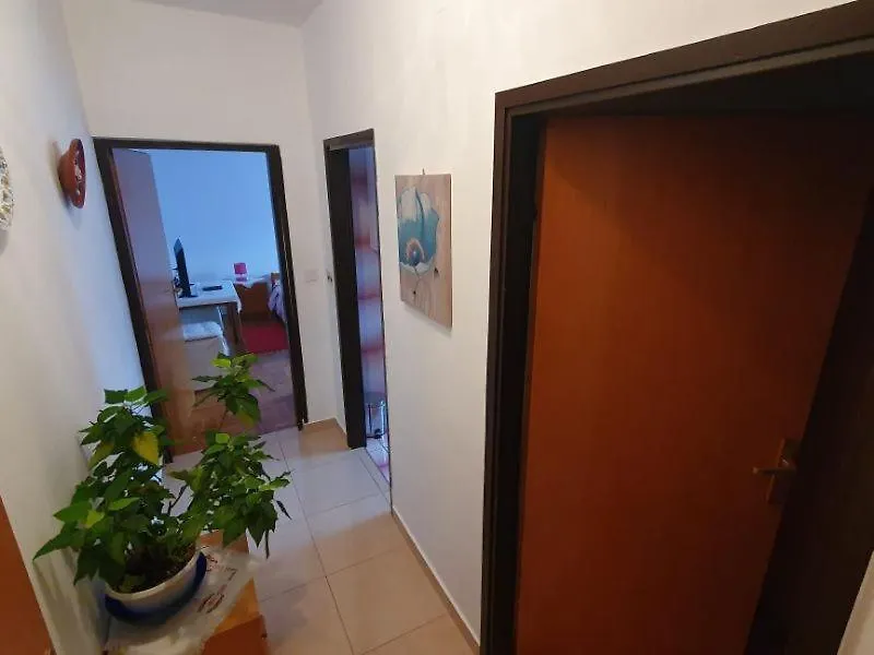 Rooms Roza With Private Bathroom Fuskulin Country Area 6 Km From The Beach クロアチア